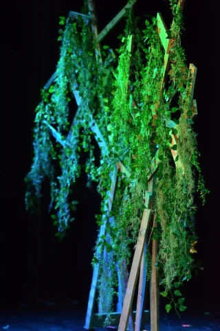 Giant-DSC_0770